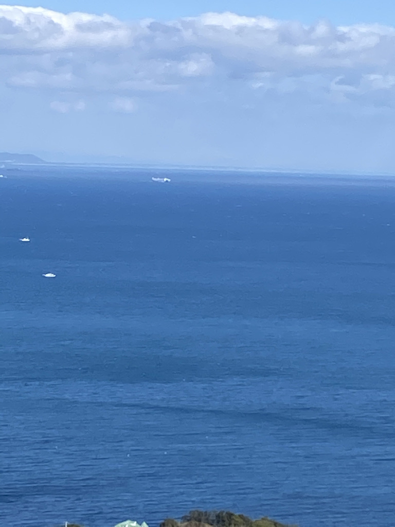 穏やかな海の写真