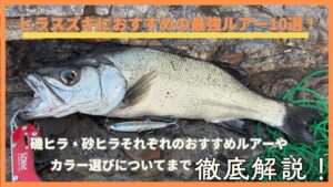 ヒラスズキルアー 10個 よく泳ぎます！ 2024年】釣れる！ヒラスズキ釣り用ルアー人気14選！おすすめの