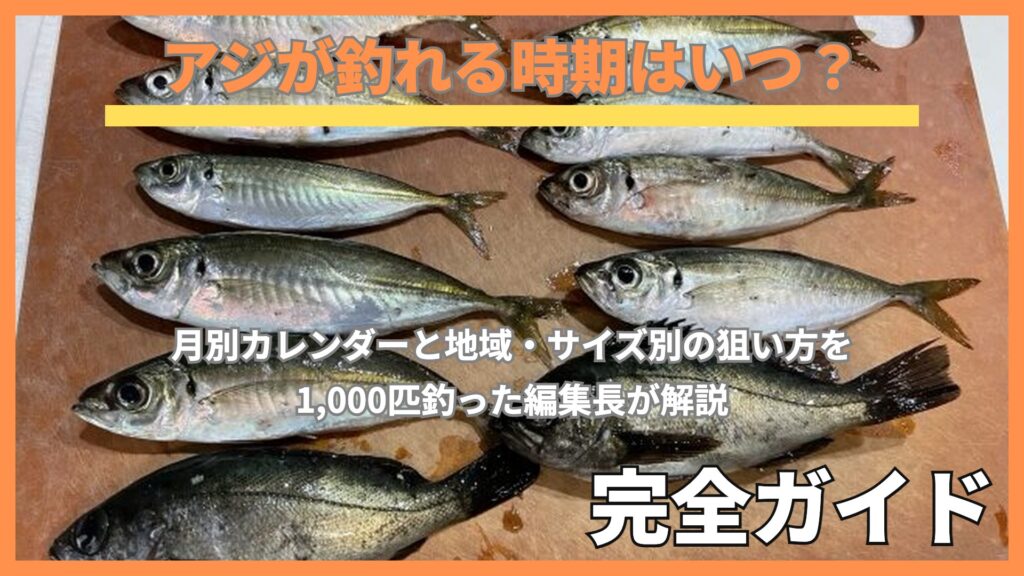まな板に並んだ釣りたてのアジ11匹の釣果
