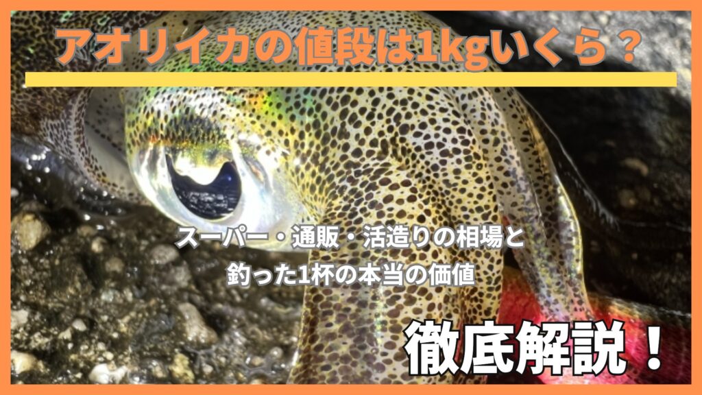 アオリイカの値段は1kgいくら？スーパー・通販・活造りの相場