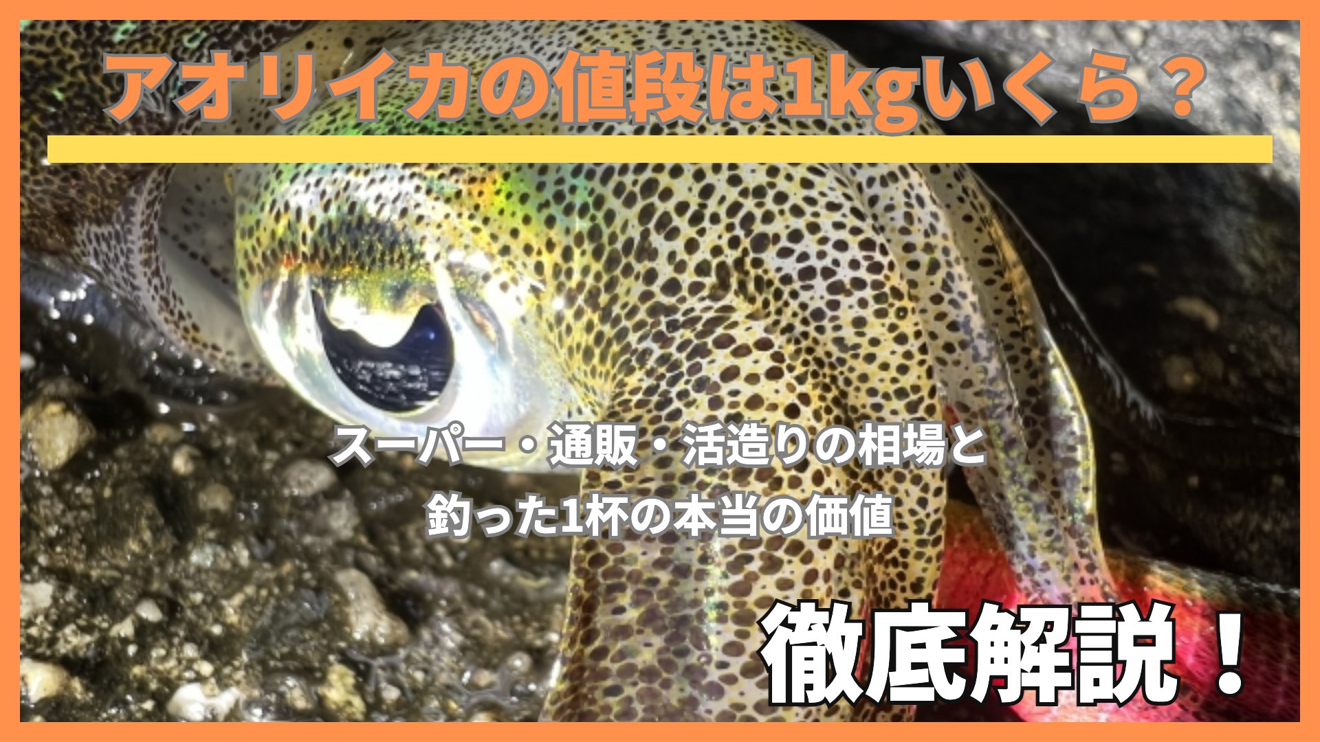 アオリイカの値段は1kgいくら?スーパー・通販・活造りの相場