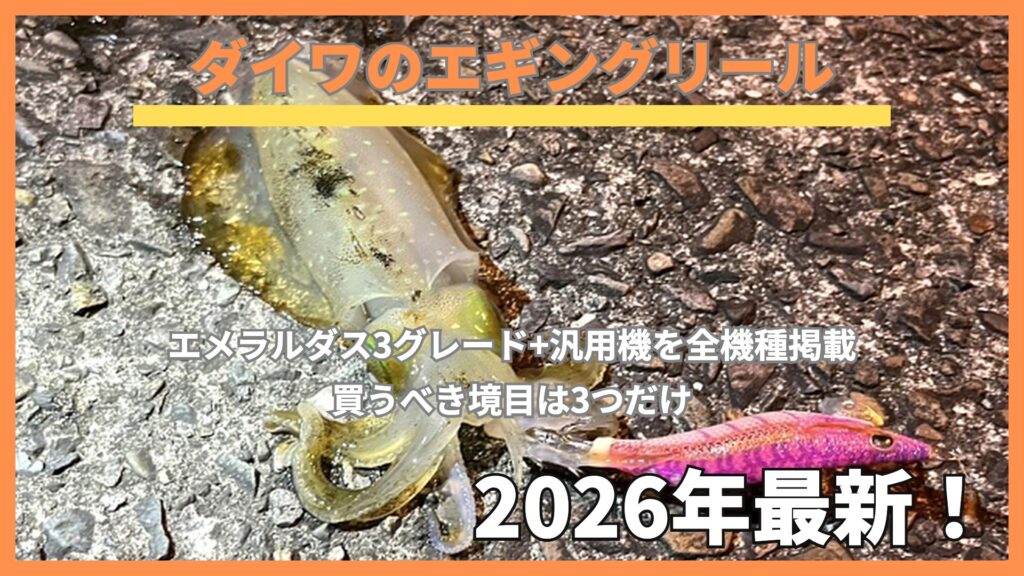 夜の堤防で釣れたアオリイカとピンクのエギ。ダイワのエギングリール全機種まとめのアイキャッチ