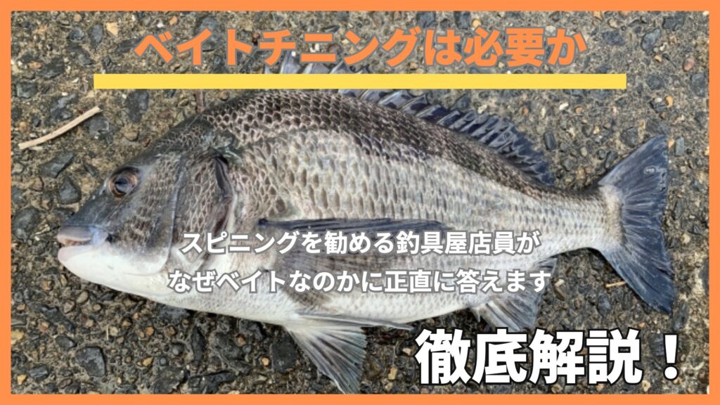 ベイトチニングは本当に必要か｜釣具屋店員が正直に答えます