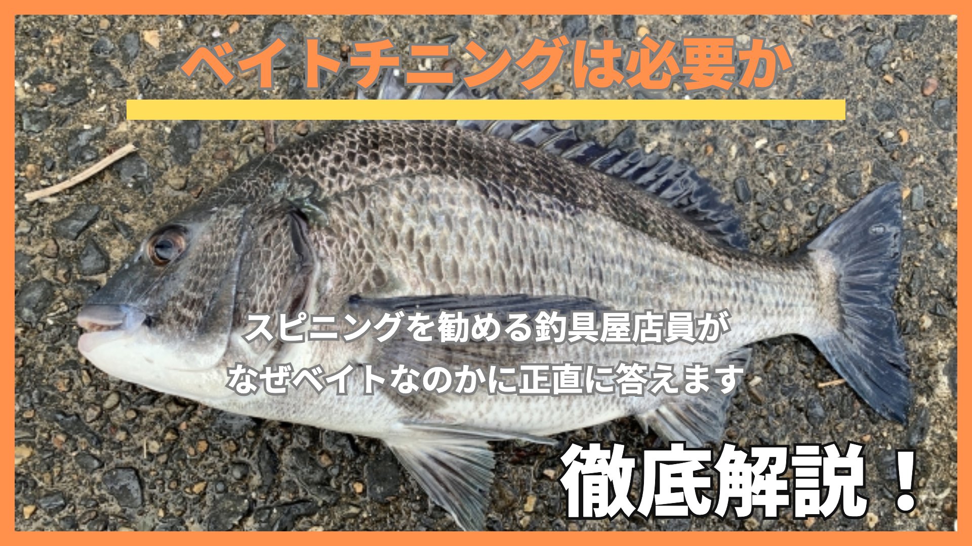 ベイトチニングは本当に必要か|釣具屋店員が正直に答えます