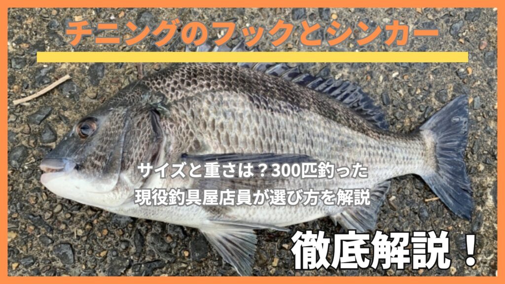 チニングのフックとシンカー｜釣れたクロダイ