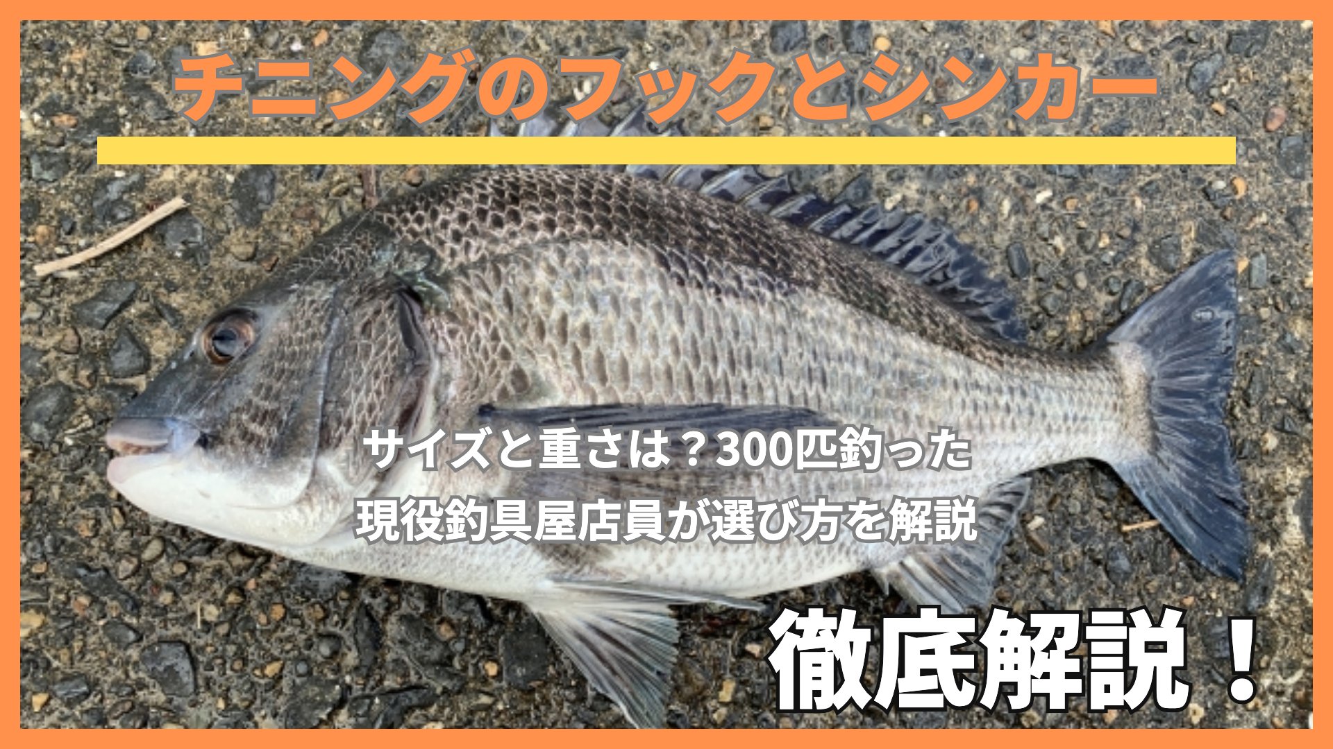 チニングのフックとシンカー|釣れたクロダイ