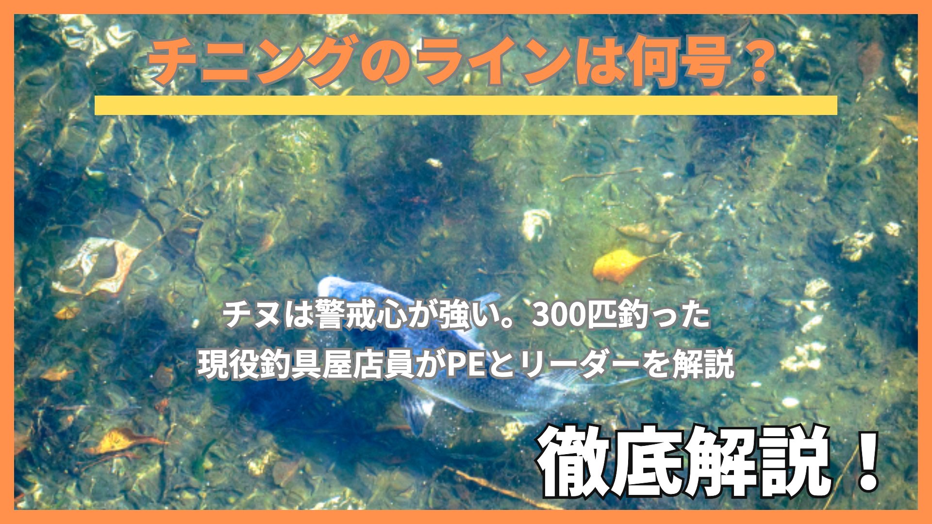 チニングのラインは何号?水中を泳ぐクロダイ
