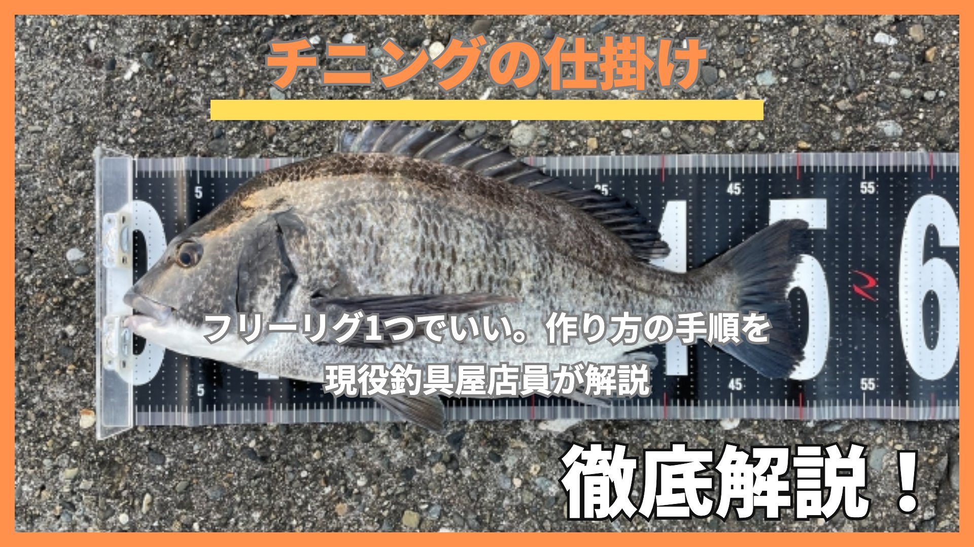 チニングの仕掛け|メジャーで計測したクロダイ