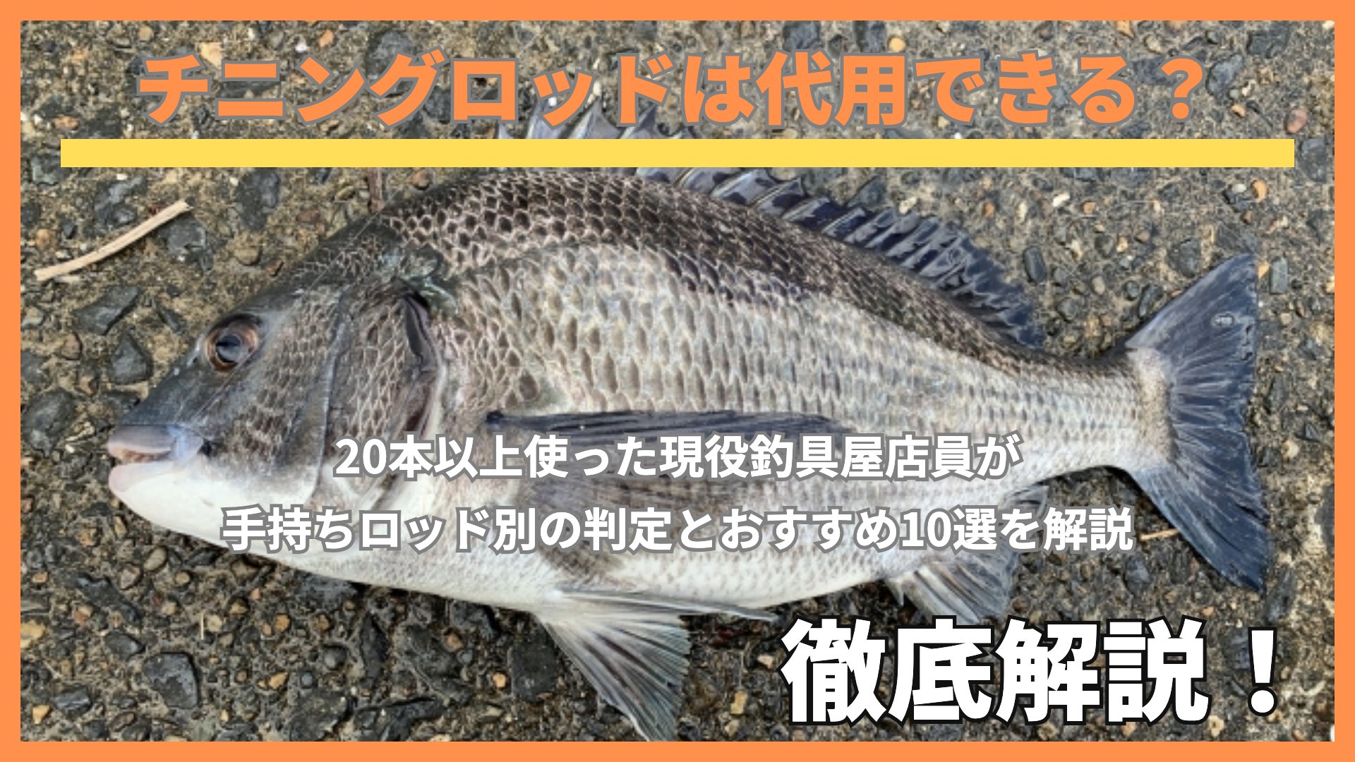 チニングロッドは代用できる?釣れたクロダイ