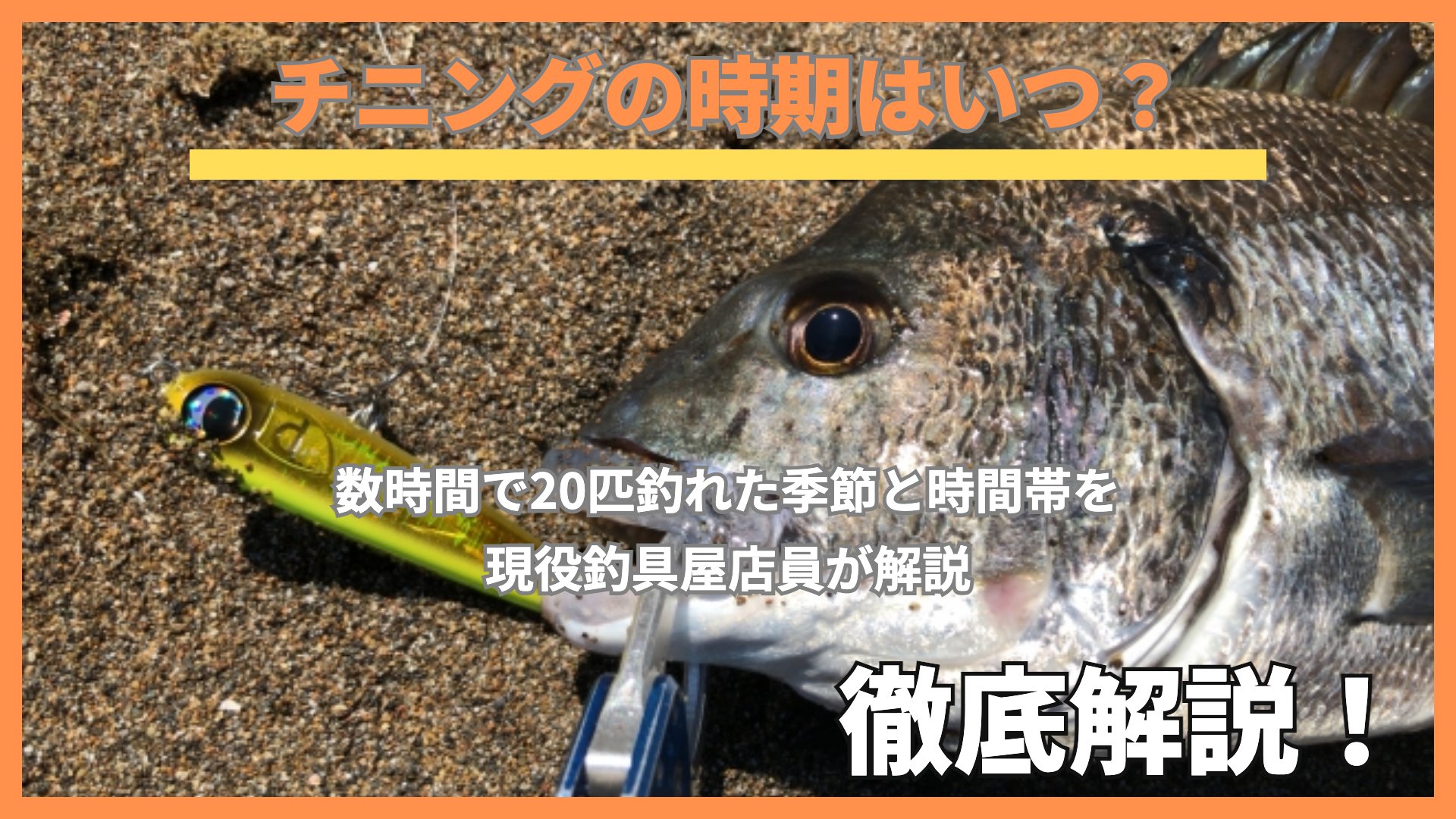 チニングの時期|ルアーを食ったクロダイ
