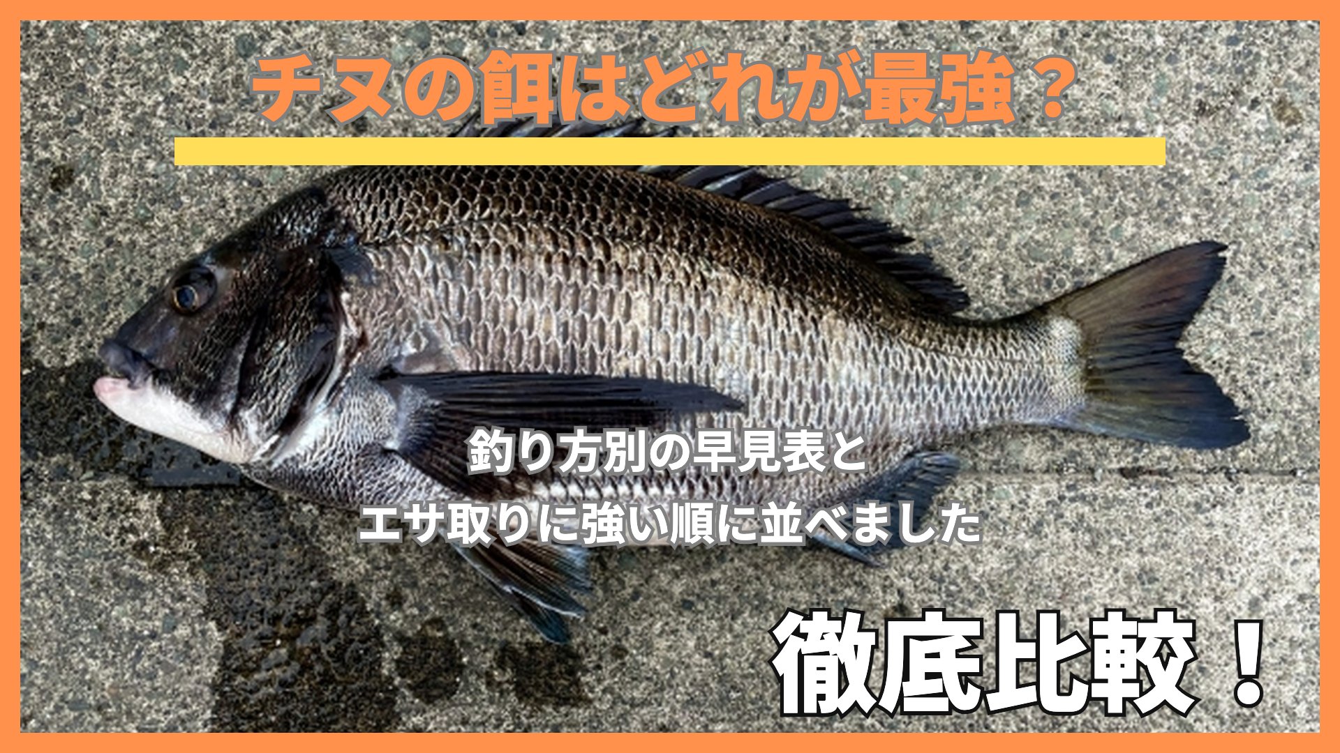 コンクリートの上に横たえたクロダイ