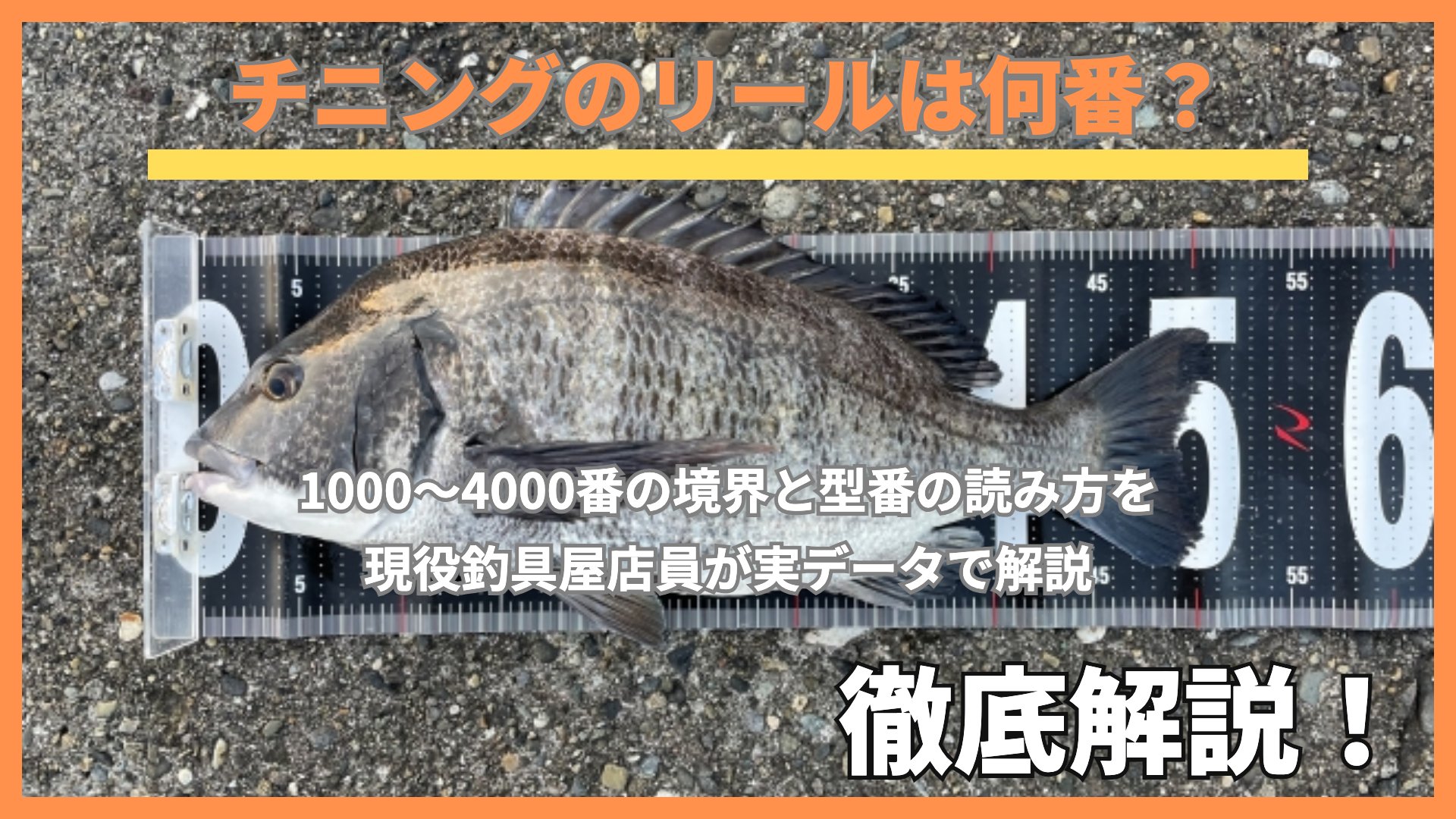 チニングのリールは何番?1000〜4000番の境界と型番の読み方