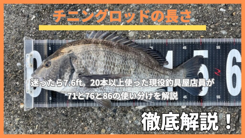 チニングロッドの長さ｜メジャーで計測したクロダイ