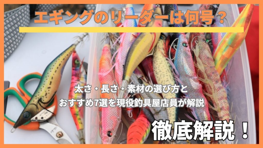 エギングのリーダーは何号？太さ・長さ・素材の選び方とおすすめ7選