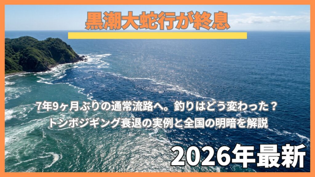 黒潮の潮目がはっきり見える沿岸の空撮