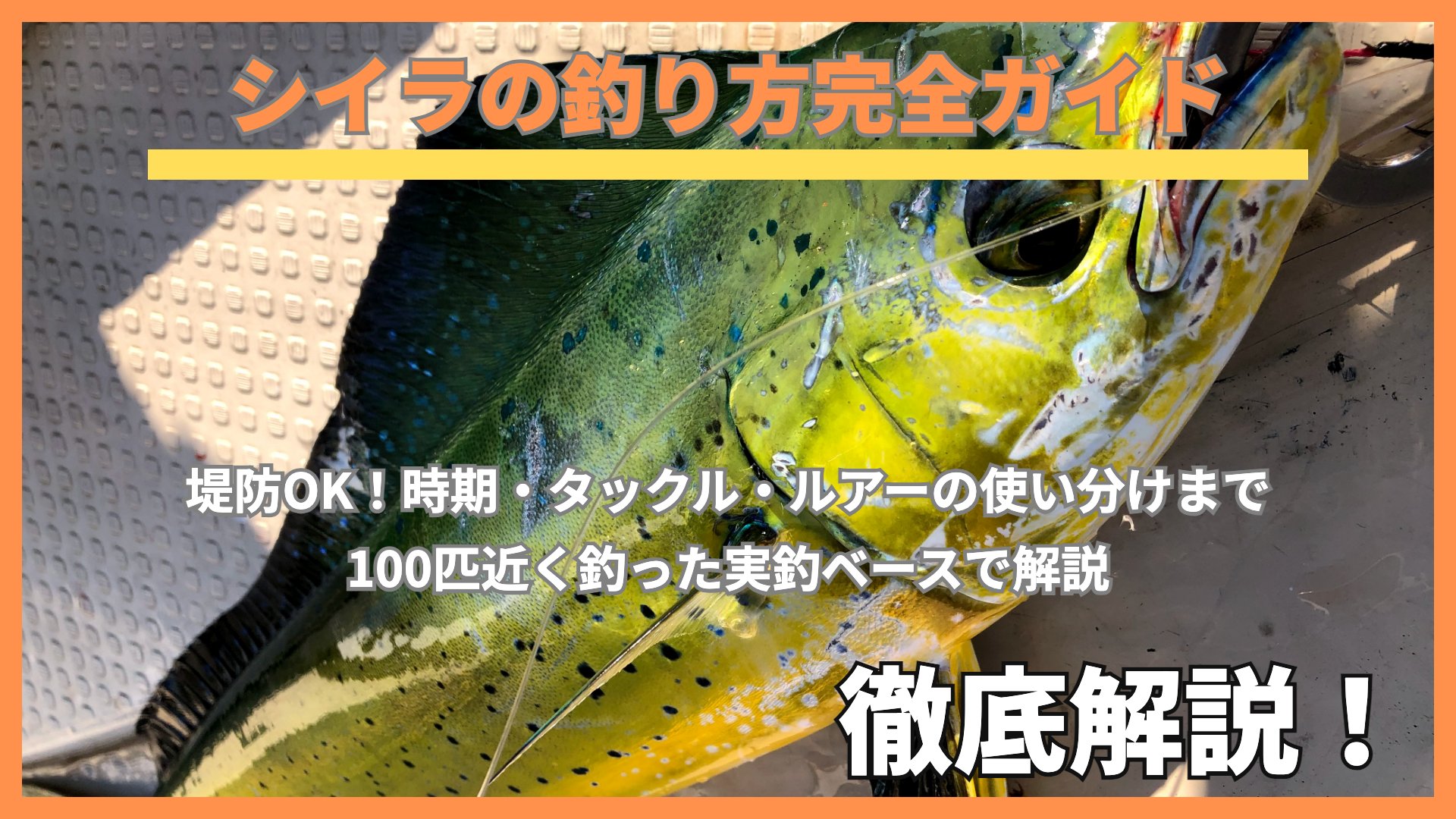 船上で釣り上げたシイラとルアー