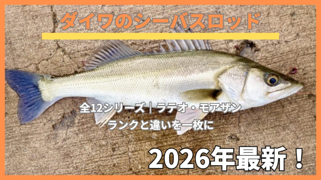コンクリートの上に置いた釣りたてのシーバス