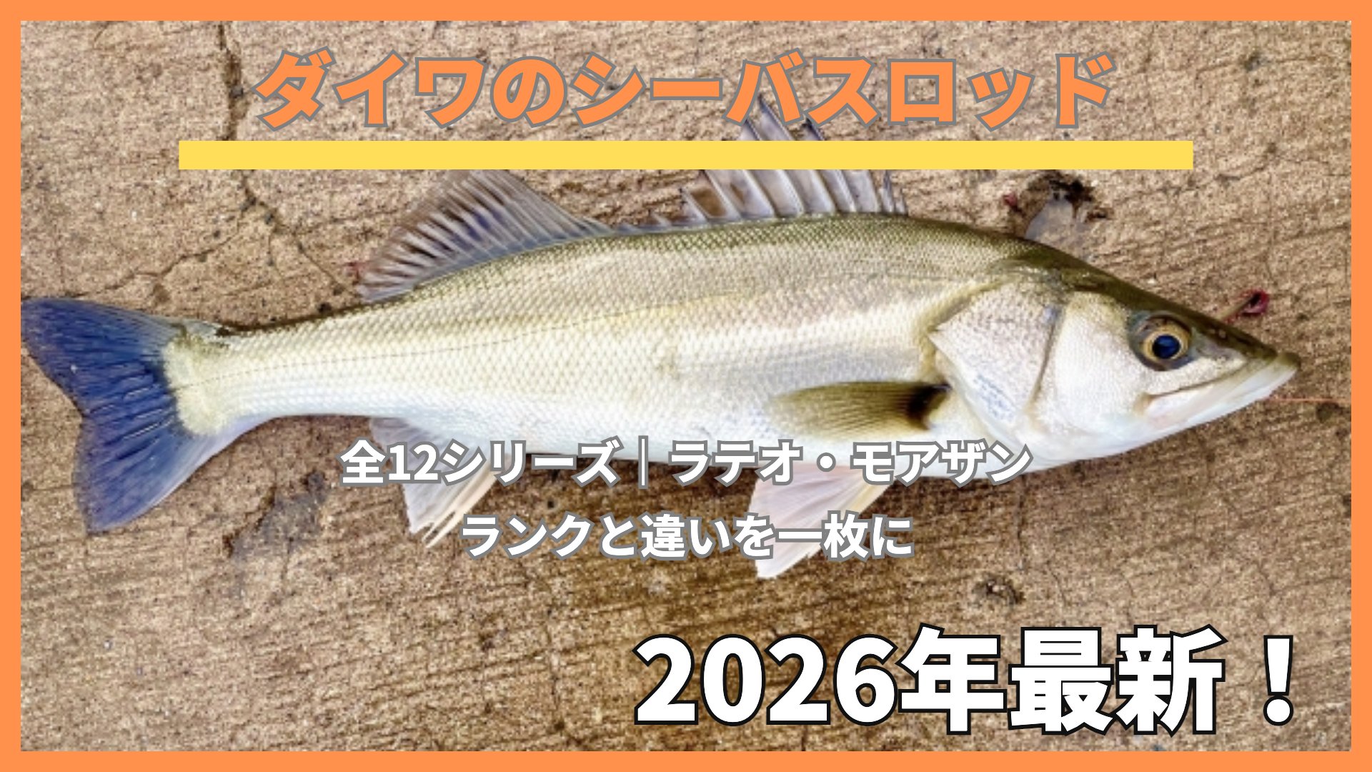 コンクリートの上に置いた釣りたてのシーバス