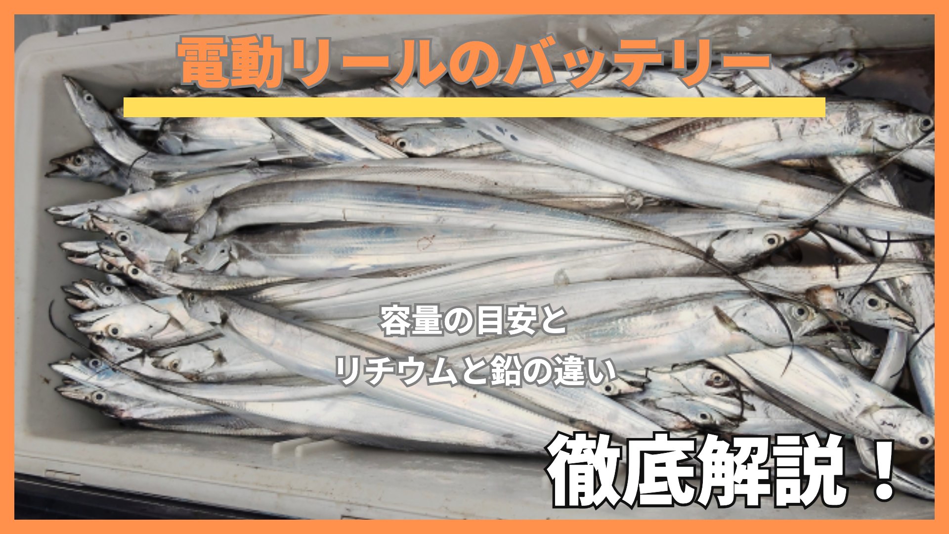 トロ箱いっぱいのタチウオに「電動リールのバッテリー」の文字