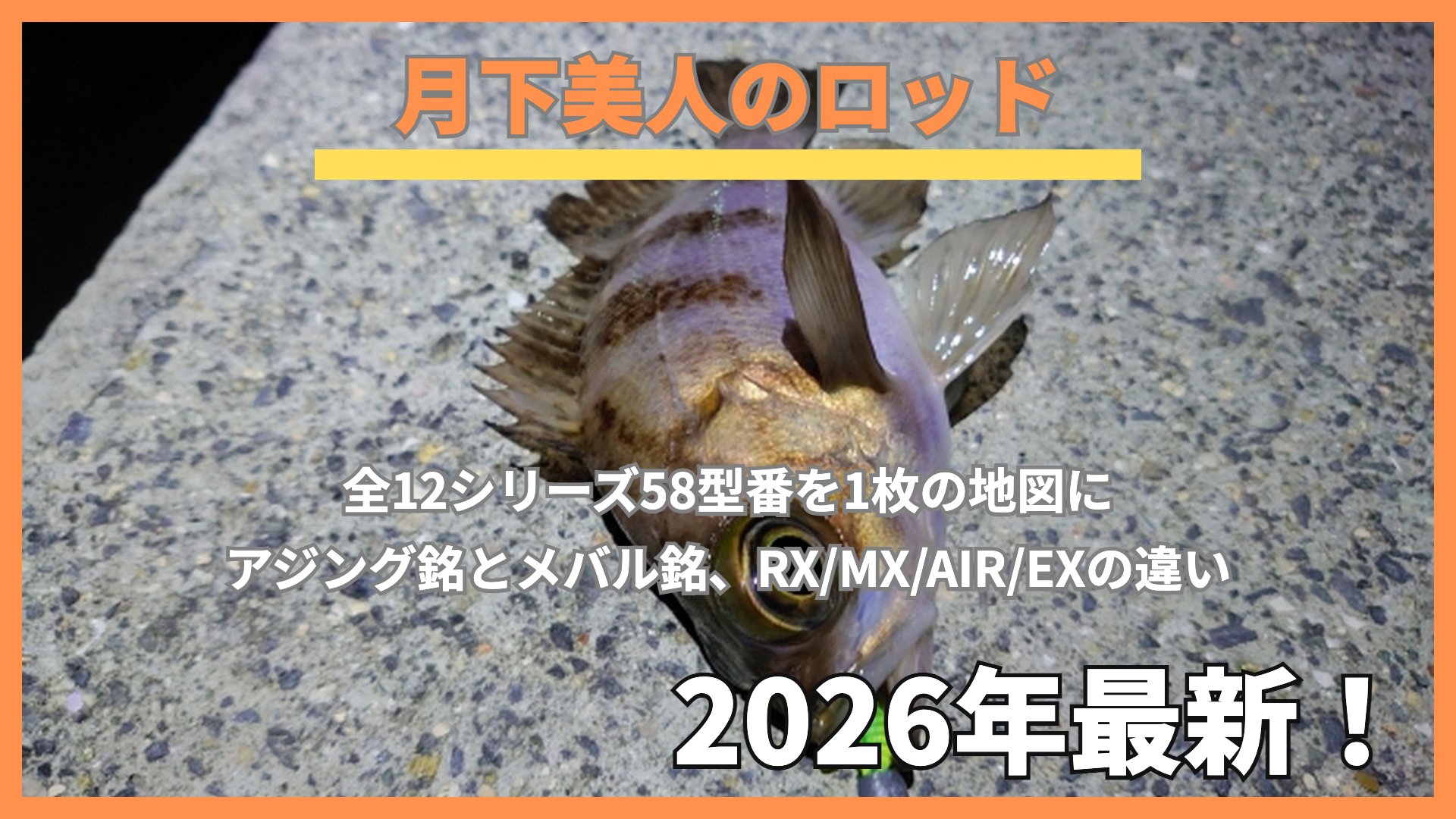 夜の堤防で釣ったメバルとワーム
