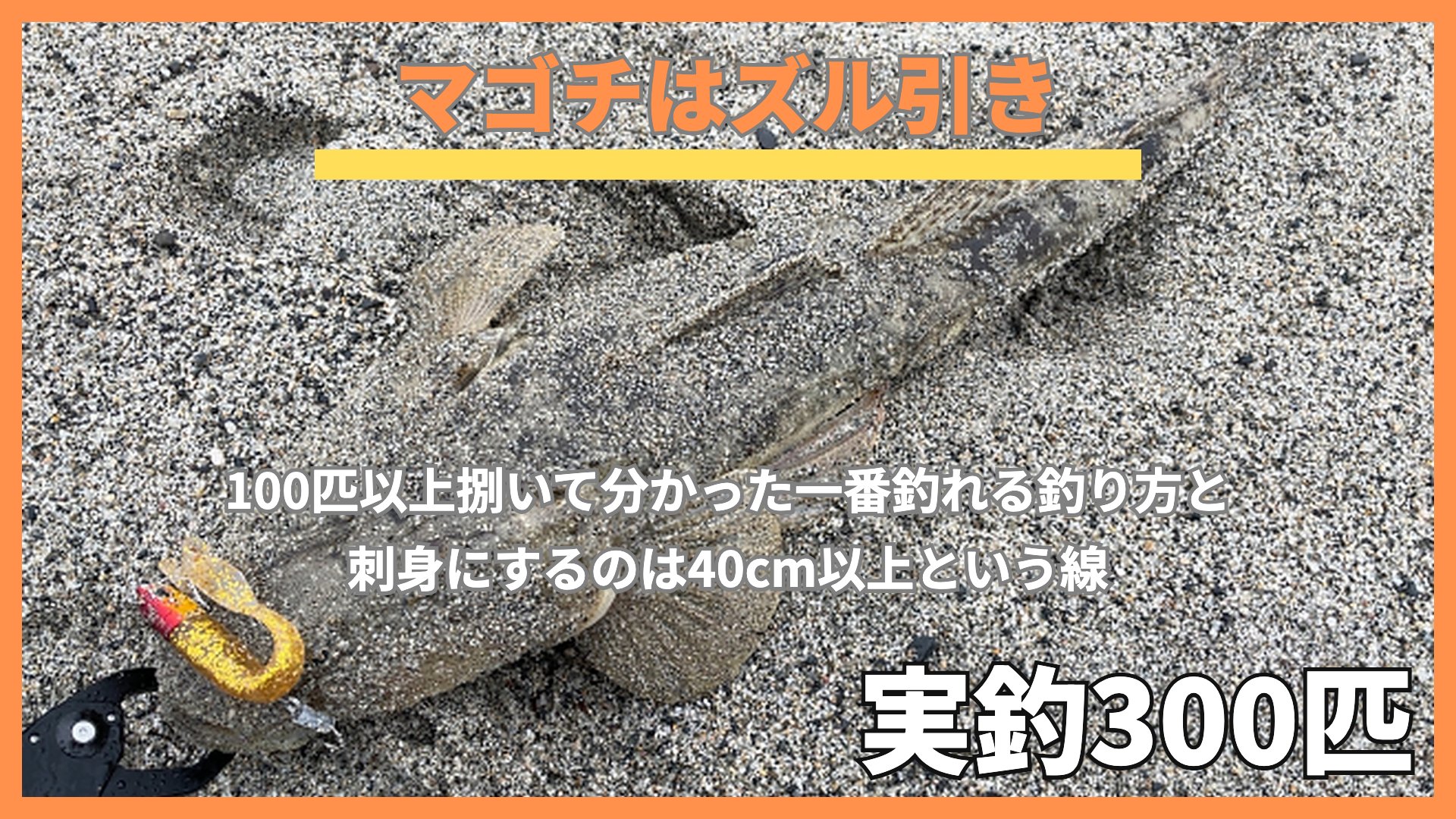 砂浜に横たわるマゴチ。平たい頭と上向きの目が特徴で、口元には黄色いワームを付けたジグヘッドとプライヤーが写っている