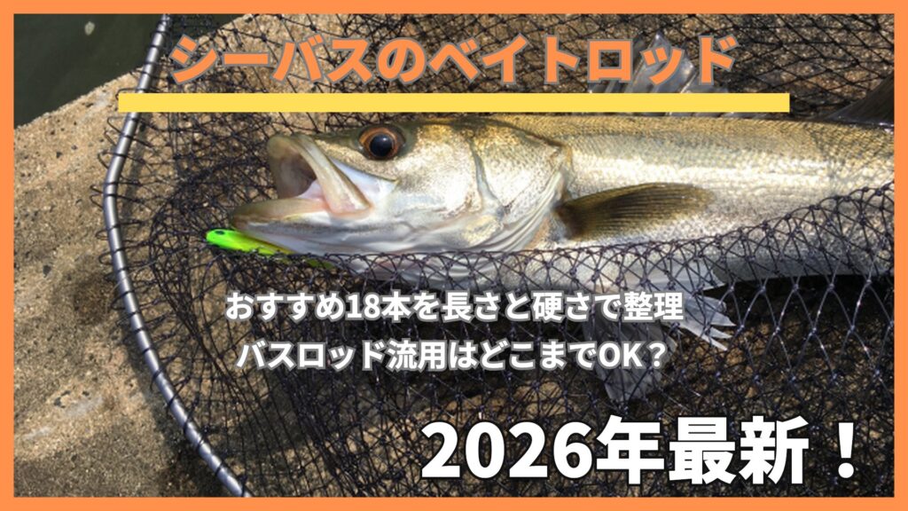 ランディングネットに入った河川のシーバスとルアー