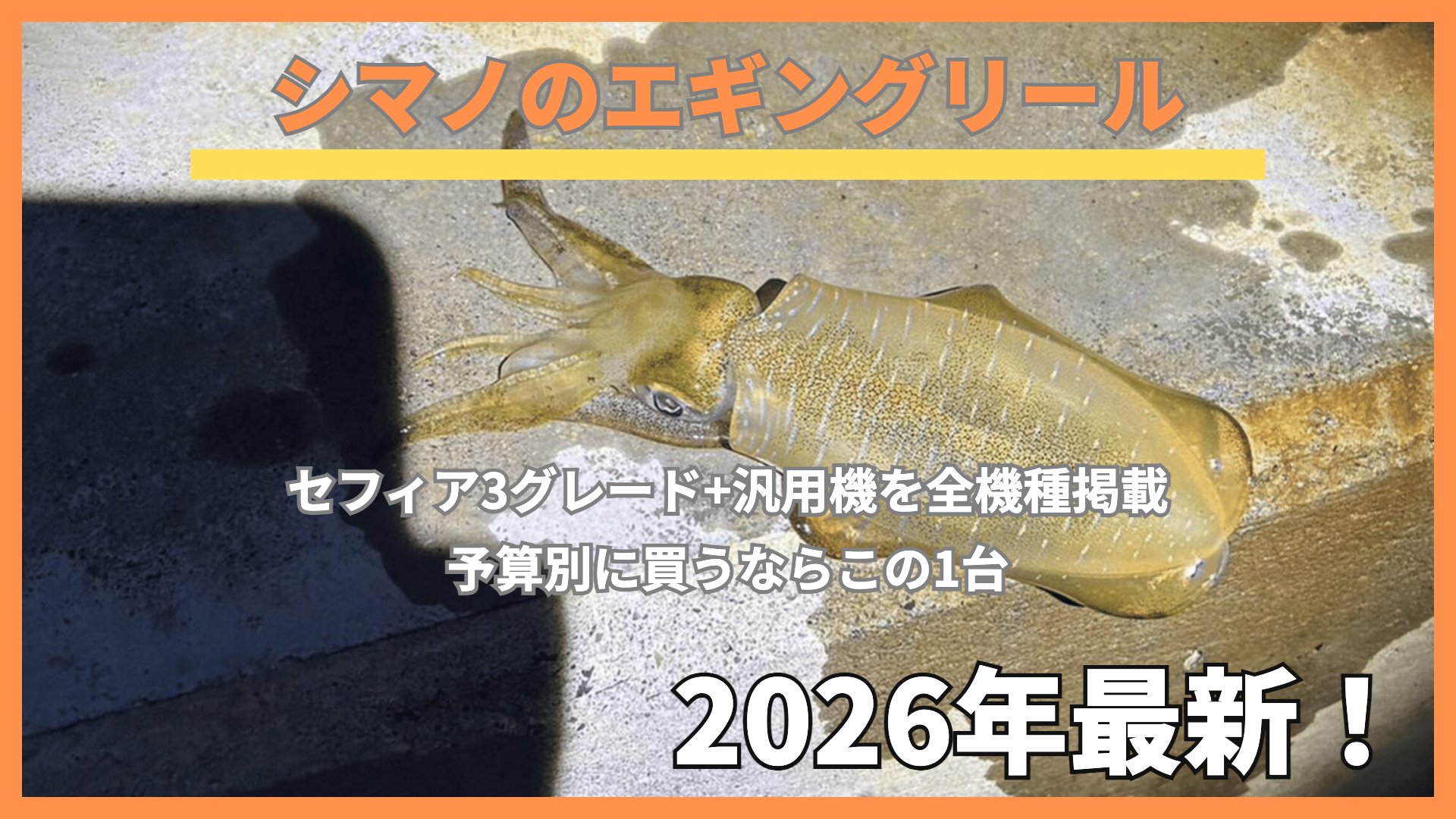 夜の堤防に置かれたエギングロッドとリール