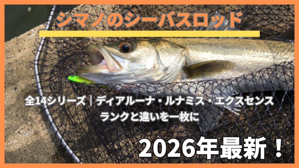 ランディングネットに入ったシーバスとルアー