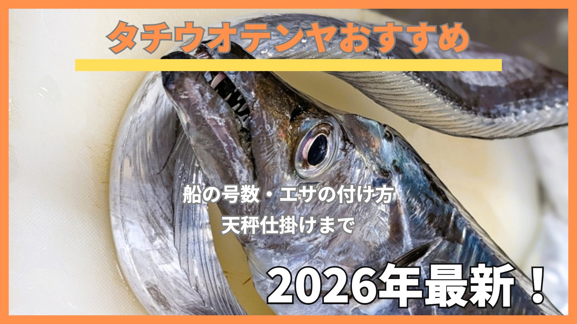 歯をむき出したタチウオの顔のアップ