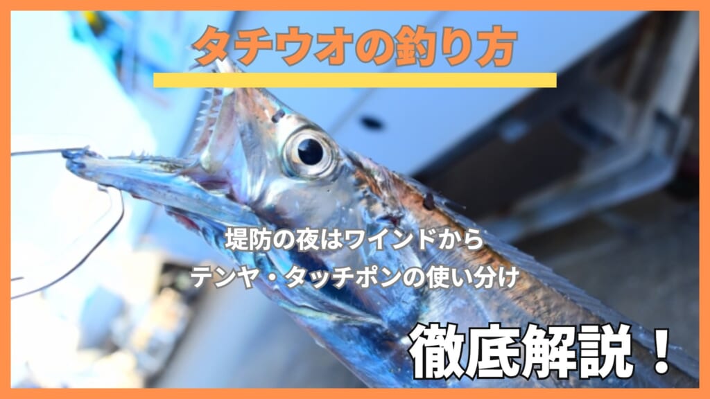仕掛けに掛かったタチウオの顔のアップ