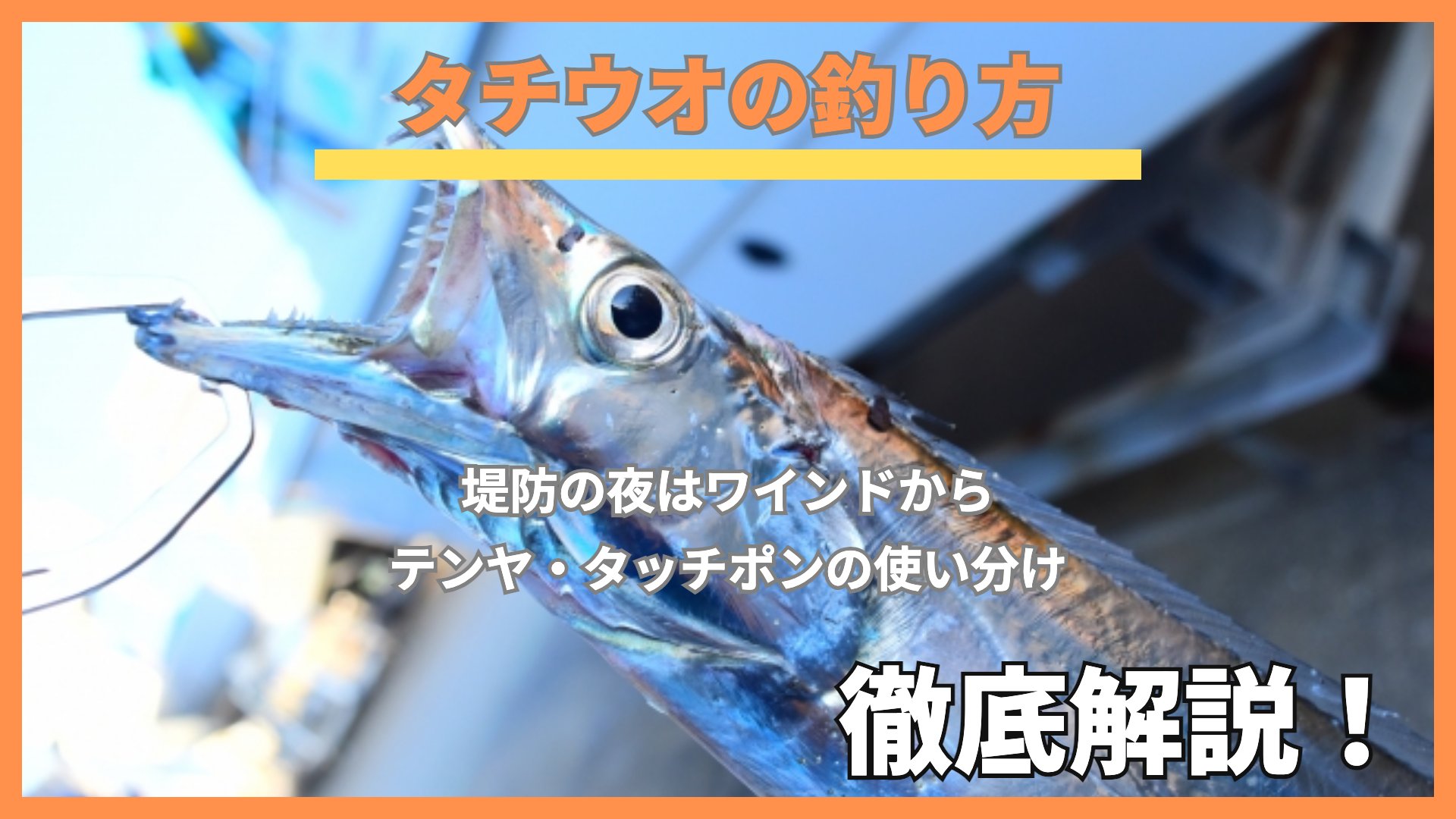 仕掛けに掛かったタチウオの顔のアップ