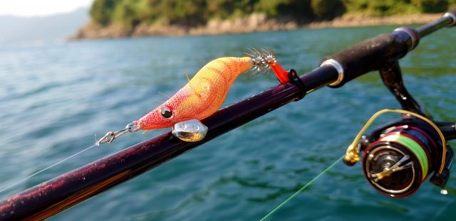 ロッドに掛けたエギとスピニングリール