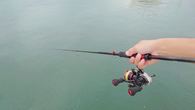 緑の水面を背にエギングロッドとリールを持つ手元