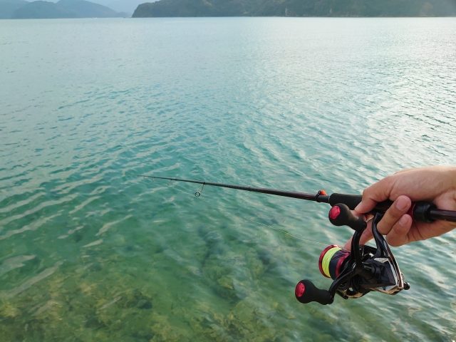 透明度の高い浅場でエギングロッドを構えた手元