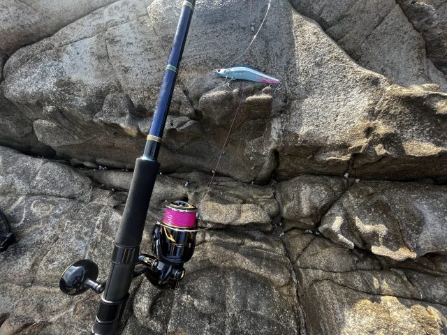 磯に置かれたキャスティングロッドとミノー系ルアー