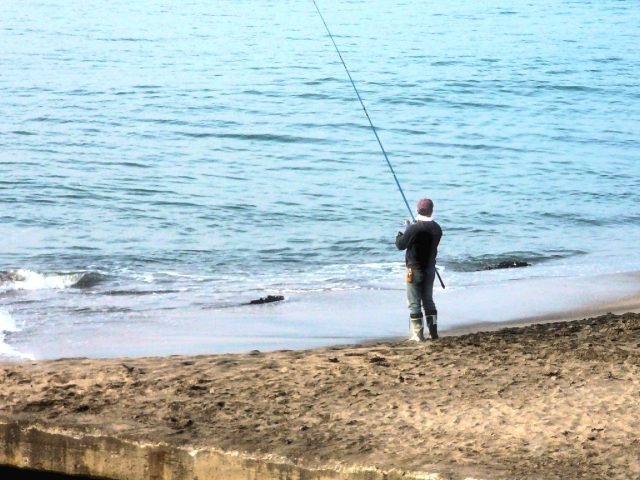 砂浜からロッドを振り抜くサーフの釣り人の後ろ姿