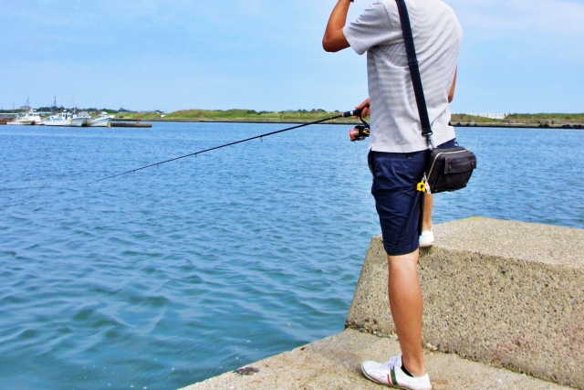 晴れた日の堤防で、海に向かって竿を出す釣り人の後ろ姿